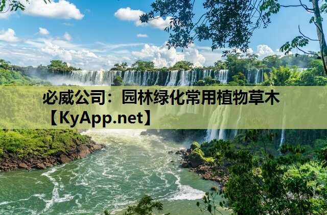 必威公司：园林绿化常用植物草木