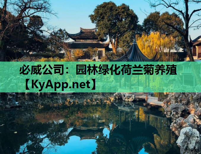 必威公司：园林绿化荷兰菊养殖