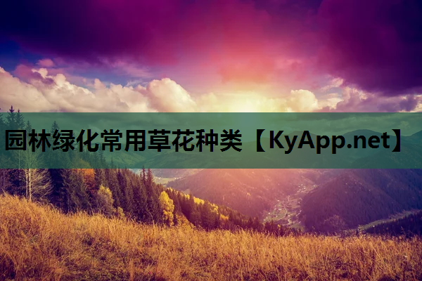 园林绿化常用草花种类
