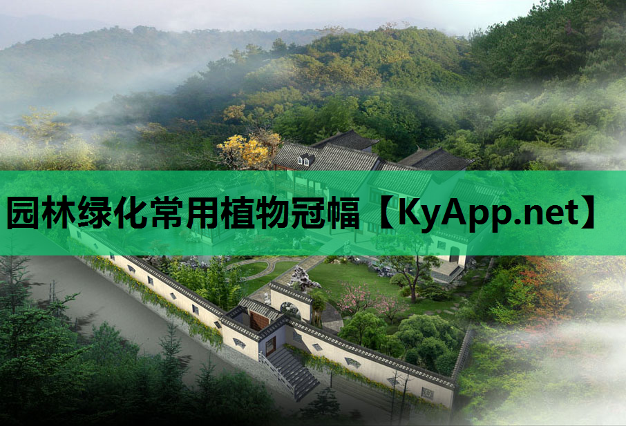 园林绿化常用植物冠幅 园林绿化常用植物冠幅