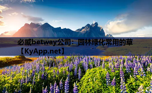 园林绿化常用的草