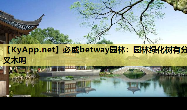 园林绿化树有分叉木吗
