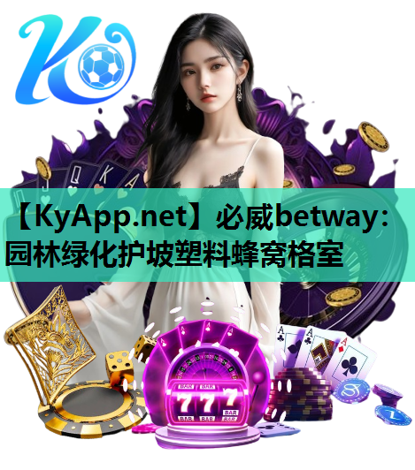 园林绿化护坡塑料蜂窝格室