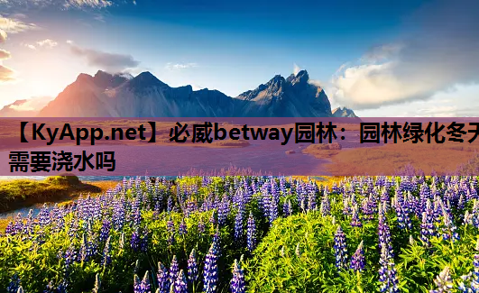 园林绿化冬天需要浇水吗