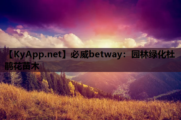 园林绿化杜鹃花苗木 园林绿化杜鹃花苗木