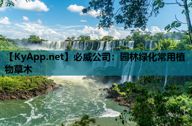 园林绿化常用植物草木