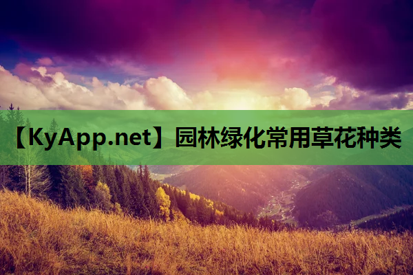 园林绿化常用草花种类