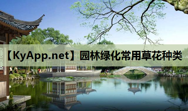 园林绿化常用草花种类