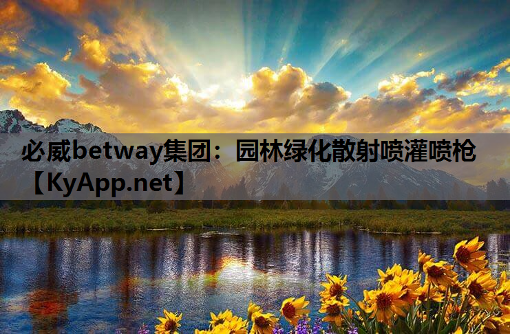 园林绿化散射喷灌喷枪